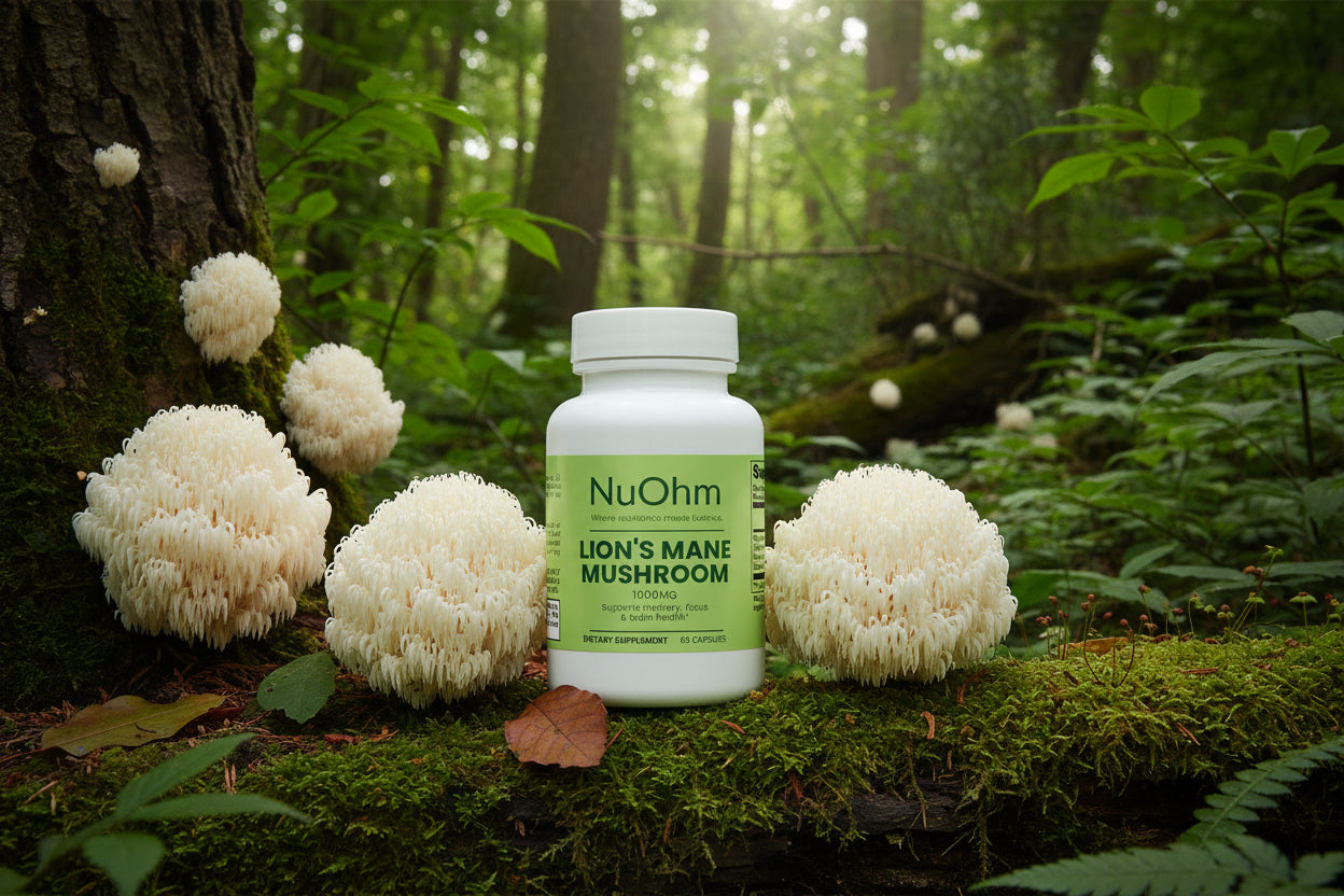 Organic Lion's Mane Mushroom Extract - NuOhm